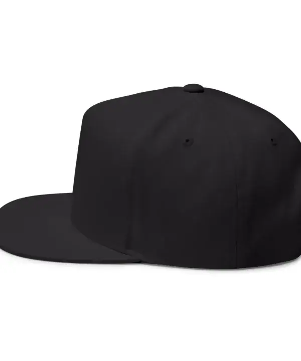 flat bill structured hat side profile showing crown shape and fit
